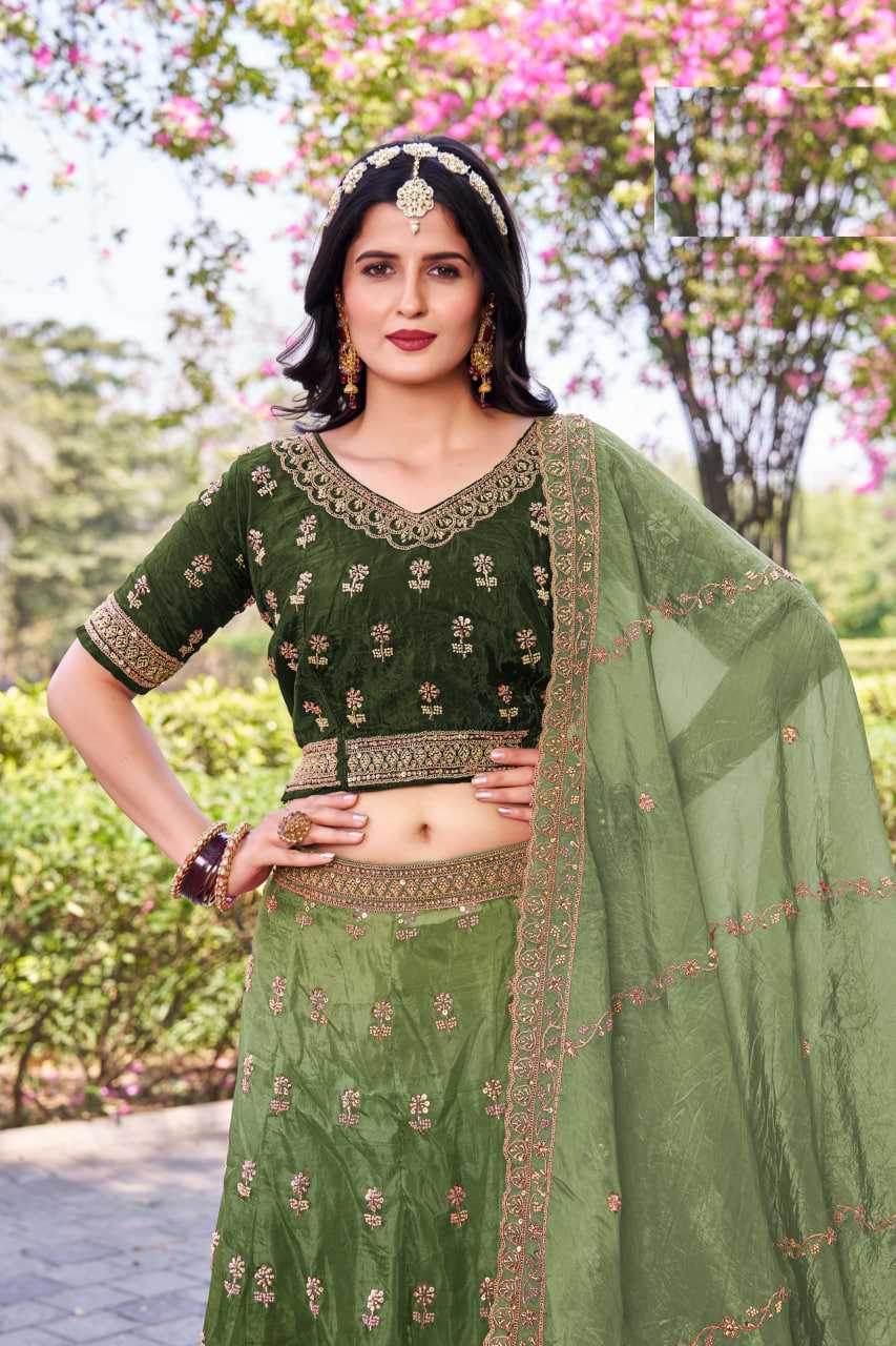 Soft Gold Crush Rajwada Lehenga for Festive Elegance - MYLUXURY LANE ENTERPRISE